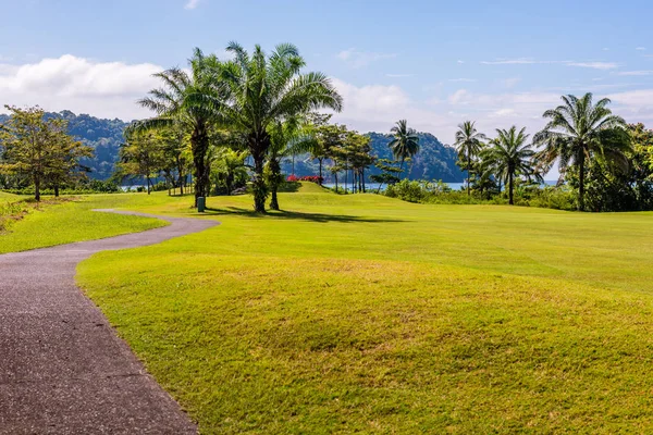 Krajobraz na polu golfowym. Strefa tropikalna — Zdjęcie stockowe