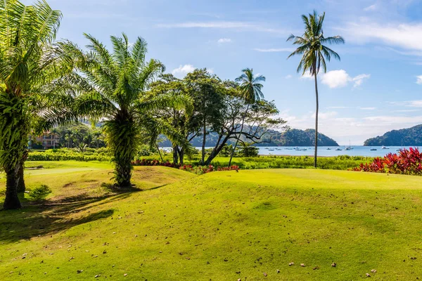 Landskap vid golfbanan. Tropiskt område — Stockfoto