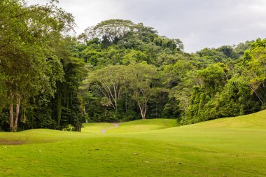 Golf sahasında manzara. Tropikal bölge