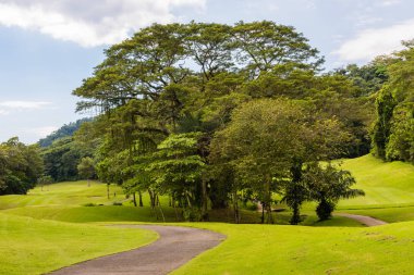 Golf sahasında manzara. Tropikal bölge
