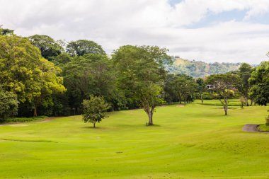 Golf sahasında manzara. Tropikal bölge