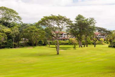 Golf sahasında manzara. Tropikal bölge