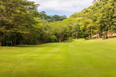 Golf sahasında manzara. Tropikal bölge