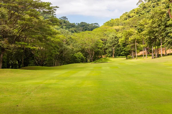 Пейзаж на полі для гольфу. Тропічна зона — стокове фото