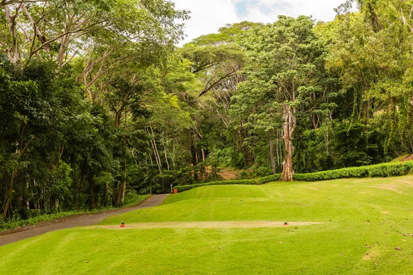 Paisaje en el campo de golf. Zona tropical — Foto de Stock