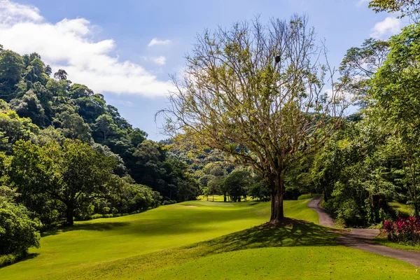 Landskap vid golfbanan. Tropiskt område — Stockfoto