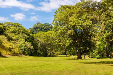 Golf sahasında manzara. Tropikal bölge
