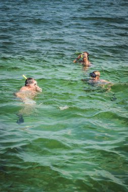 Karayip denizinde şnorkelle yüzmek