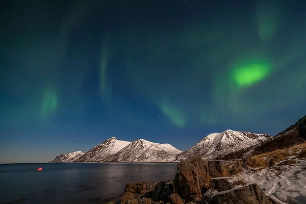 Hermosa aurora boreal, luces polares, sobre las montañas en el norte de Europa Islas Lofoten, Noruega — Foto de Stock