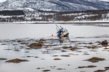 Gemi fırtınadan sonra sahilde karaya oturdu, Lofoten, Norveç.
