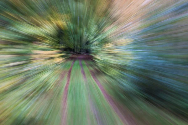 Fotografia abstrata de uma estrada que leva profundamente em uma floresta de verão . — Fotografia de Stock