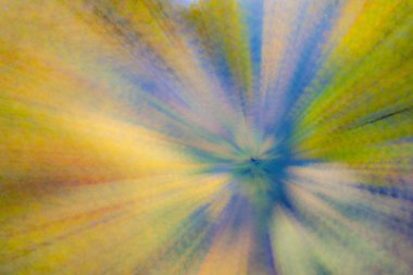 Parlak güneşli bir günde sonbahar ormanı. Soyut fotoğraf. Renkli desenli arka plan. uzun deklanşör hızı.