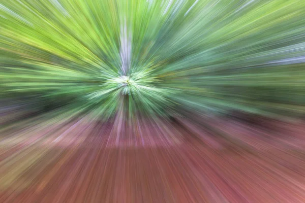 Summar forest on a bright sunny day. Abstract photo. Colorful textured background. long shutter speed. — Stock Photo, Image