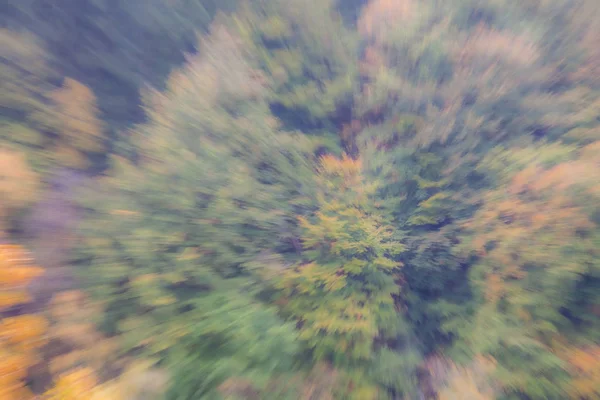 Forêt d'automne par une journée ensoleillée. Photo abstraite. Fond texturé coloré. vitesse d'obturation longue . — Photo