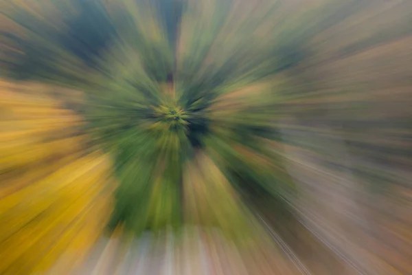 Forêt d'automne par une journée ensoleillée. Photo abstraite. Fond texturé coloré. vitesse d'obturation longue . — Photo