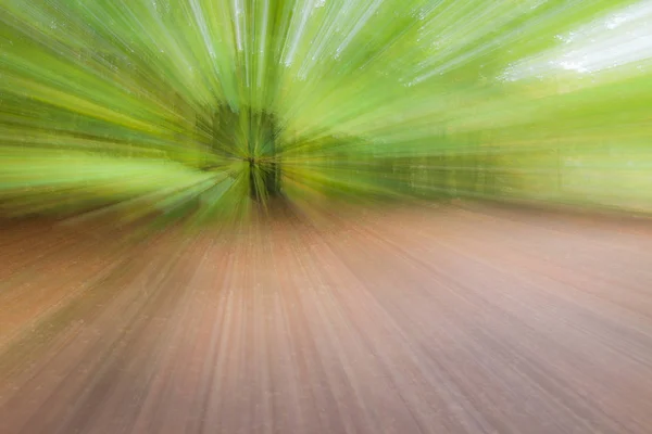 Forêt d'été par une journée ensoleillée. Photo abstraite. Fond texturé coloré. vitesse d'obturation longue . — Photo