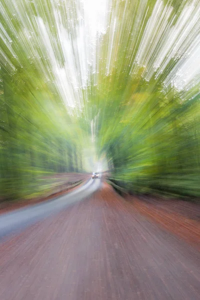 Summar forest road on a bright sunny day. Abstract photo. Colorful textured background. long shutter speed. — Stock Photo, Image