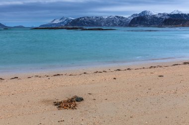 Kumsalın üzerinde güzel bir manzara. Sommaroy, Norveç. Kutup gecesi. uzun deklanşör hızı