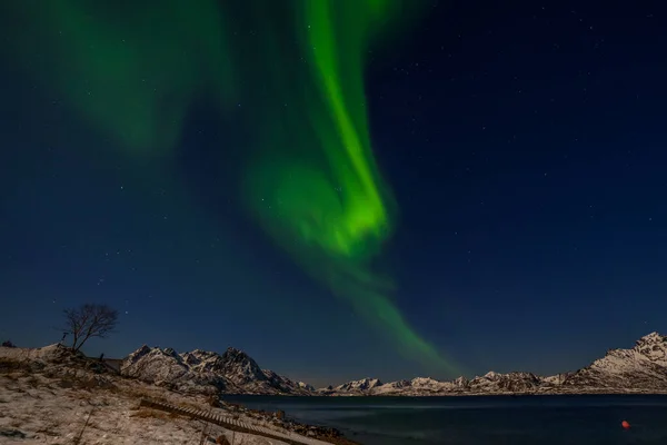 Paisaje de invierno con aurora, mar con reflejo del cielo y montañas nevadas. Naturaleza, Lofoten Aurora borealis . — Foto de Stock