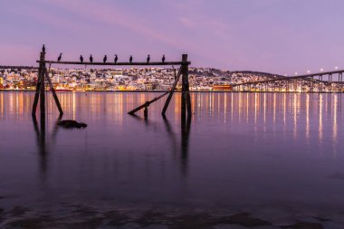 Tromso, Norveç 'in üzerinde muhteşem morumsu bir renkle şaşırtıcı bir gün doğumu. Balıkçılık binası. Kutup gecesi. uzun deklanşör hızı