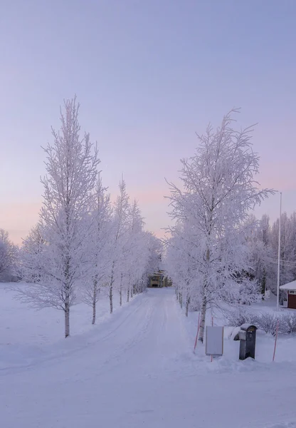 Frosty morgon i polcirkeln i norra Sverige — Stockfoto