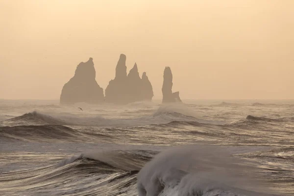 Vista desde la playa de Vik durante una fuerte tormenta con muchas gaviotas en el fondo, Islandia — Foto de Stock