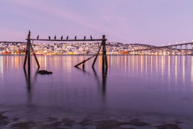 Tromso, Norveç 'in üzerinde muhteşem morumsu bir renkle şaşırtıcı bir gün doğumu. Balıkçılık binası. Kutup gecesi. uzun deklanşör hızı