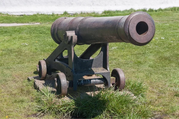 Canons in the north of Oland, Sweden — 스톡 사진