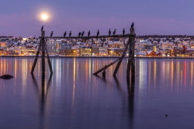 İnanılmaz macenta rengi ve Norveç, Tromso 'nun üzerindeki ay ışığı. Balıkçı binası. Kutup gecesi. uzun deklanşör hızı