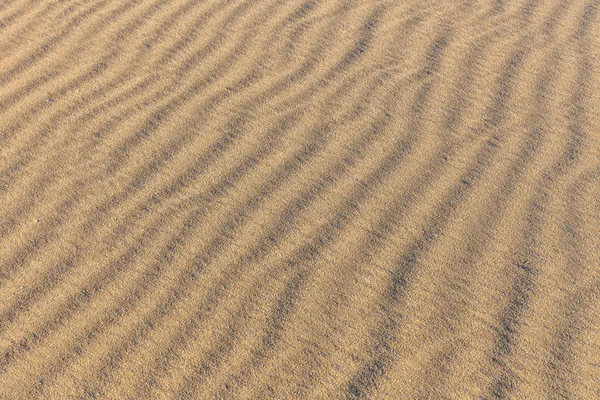 Teksturę piasku. Tło z drobnoziarnistego piasku. Piasek tło — Zdjęcie stockowe