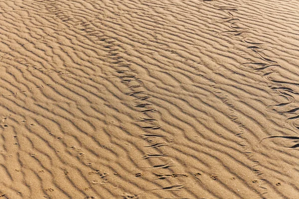 砂の中に蛇の痕跡。砂の質感。黒砂の背景. — ストック写真