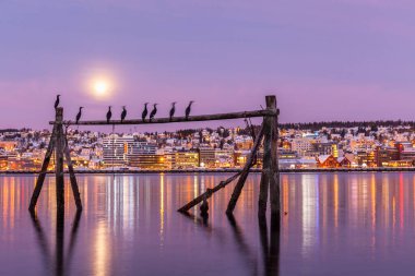 İnanılmaz macenta rengi ve Norveç, Tromso 'nun üzerindeki ay ışığı. Balıkçı binası. Kutup gecesi. uzun deklanşör hızı