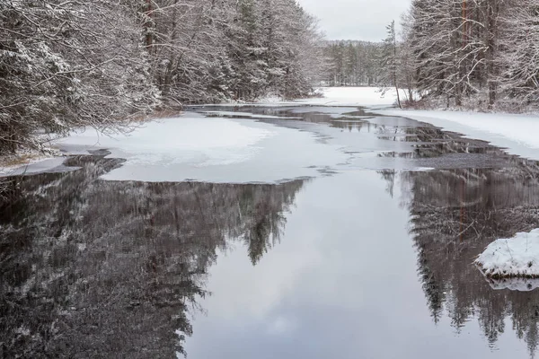 Ruisseau forestier dans la forêt d'hiver. Suède, vitesse d'obturation longue . — Photo