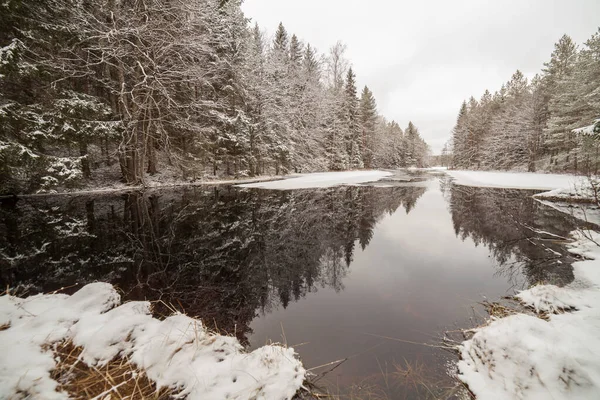 Ruisseau forestier dans la forêt d'hiver. Suède, vitesse d'obturation longue . — Photo