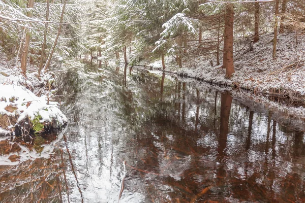 Arroyo forestal en el bosque de invierno. Suecia, velocidad de obturación larga . — Foto de Stock