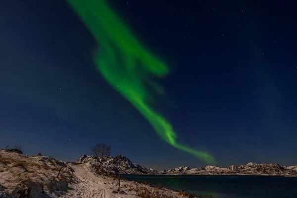Onvergetelijke aurora borealis, noorderlicht, over bergen in Noord-Europa - Lofoten, Noorwegen — Stockfoto