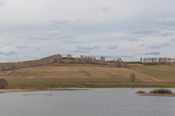 Un pequeño río que fluye a través de prados y campos agrícolas. primavera. Cielo nublado. Enfoque selectivo —  Fotos de Stock