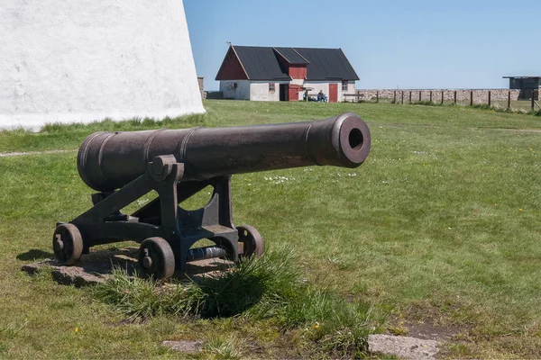 Canons in the north of Oland, Sweden. selective focus — 스톡 사진