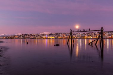 İnanılmaz macenta rengi ve Norveç, Tromso 'nun üzerindeki ay ışığı. Balıkçı binası. Kutup gecesi. uzun deklanşör hızı
