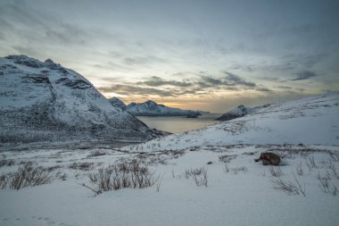 Fiyort üzerinde güzel bir manzara. Tromso, Norveç. Kutup gecesi. uzun deklanşör hızı