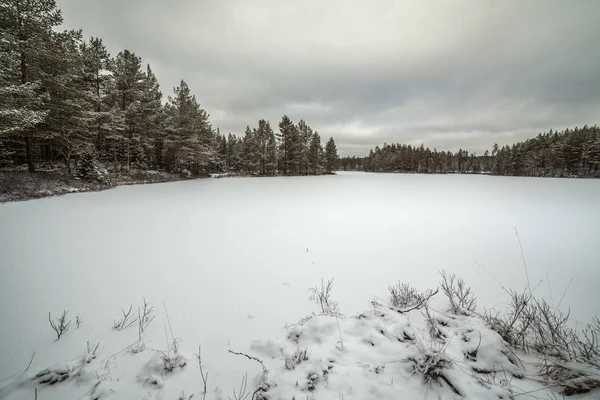 Lac gelé en Suède pendant les mois d'hiver . — Photo