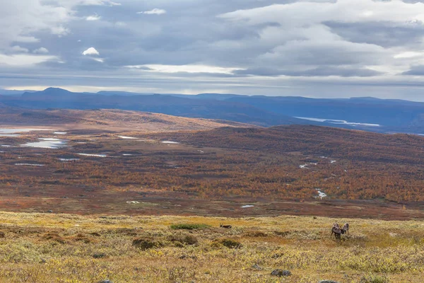 Pohled na národní park Sarek na podzim, Švédsko, selektivní zaměření — Stock fotografie