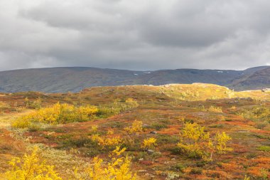 Sarek Ulusal Parkı, Laponya, Norrbotten County, İsveç, Finlandiya, İsveç ve Norveç sınırının sonbahar manzarası. seçici odak