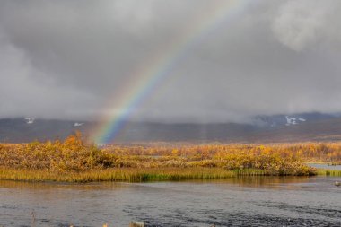 Sarek Ulusal Parkı, Laponya, Norrbotten County, İsveç, Finlandiya, İsveç ve Norveç sınırının sonbahar manzarası. seçici odak