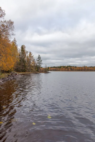 Cielo nuvoloso sul lago. Foresta autunnale sullo sfondo, Svezia, focus selettivo — Foto Stock