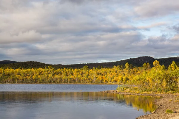 Floresta de outono na costa do fiorde, Noruega — Fotografia de Stock