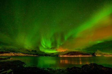 Güzel Aurora Borealis, kutup ışıkları, Kuzey Avrupa 'daki dağların üzerinden - Lofoten adaları, Norveç