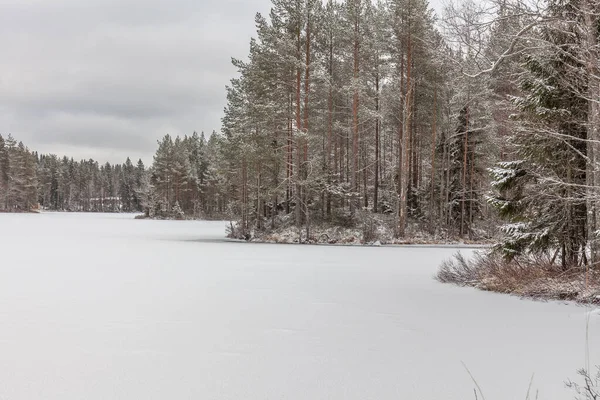 Lago congelado en Suecia durante los meses de invierno . — Foto de Stock