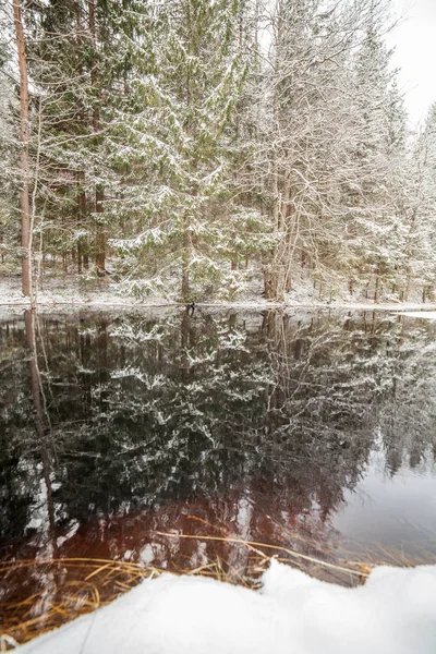 Arroyo forestal en el bosque de invierno. Suecia, velocidad de obturación larga . — Foto de Stock