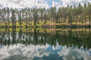 Göl kenarındaki tenha bölgede gökyüzü ve ağaç yansıması. Sakin sular ve bulutlu gökyüzü. İsveç. Seçici odaklanma. uzun pozlama